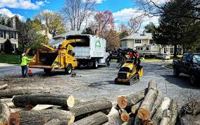 Best Tree Preservation Services  in Salida Del Sol Estates, TX